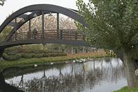 Cjp_2015_11_17_085548.jpg