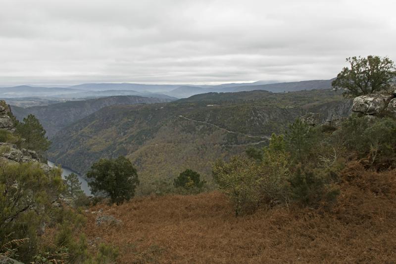 Cjp_2015_11_17_115252.jpg