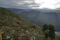 Cjp_2015_11_17_100952.jpg
