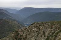 Cjp_2015_11_17_113328.jpg