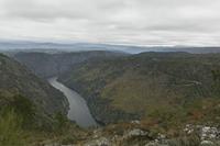 Cjp_2015_11_17_115504.jpg