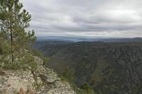 Cjp_2015_11_17_122228.jpg