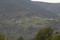 Cjp_2015_11_17_131550.jpg