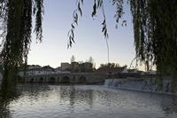 Cjp_2015_11_23_073800.jpg