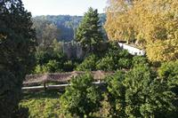 Cjp_2015_11_23_090254.jpg