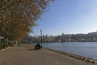 Cjp_2015_11_27_131710.jpg
