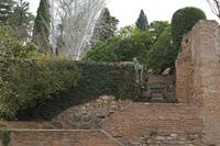 Cjp_2016_03_18_155300.jpg