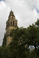 Cjp_2016_03_20_074306.jpg