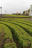 Cjp_2016_04_10_074942.jpg