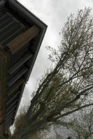 Cjp_2016_04_10_122842.jpg