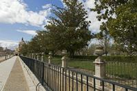 Cjp_2016_04_10_140608.jpg