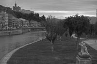 Cjp_2016_04_20_174832_NB.jpg