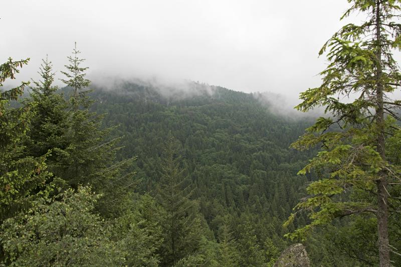 Cjp_2016_06_08_065726.jpg
