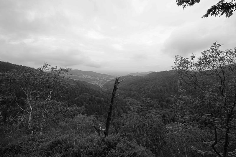 Cjp_2016_06_08_065910.jpg