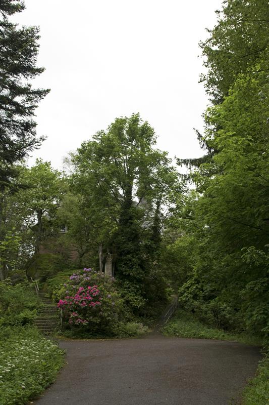 Cjp_2016_06_08_075056.jpg