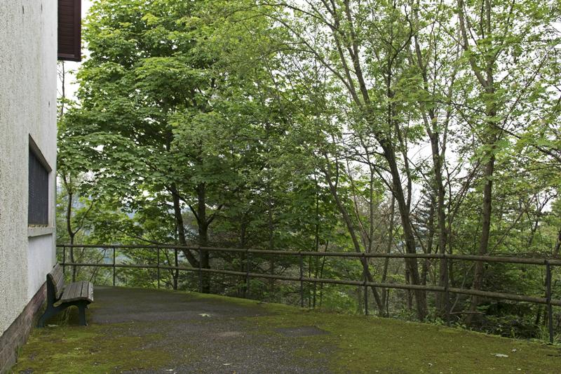 Cjp_2016_06_08_075824.jpg