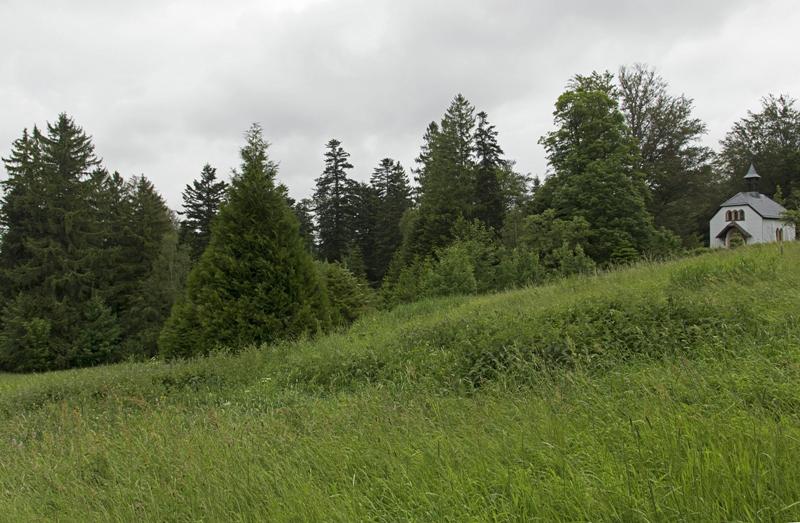 Cjp_2016_06_08_081620.jpg