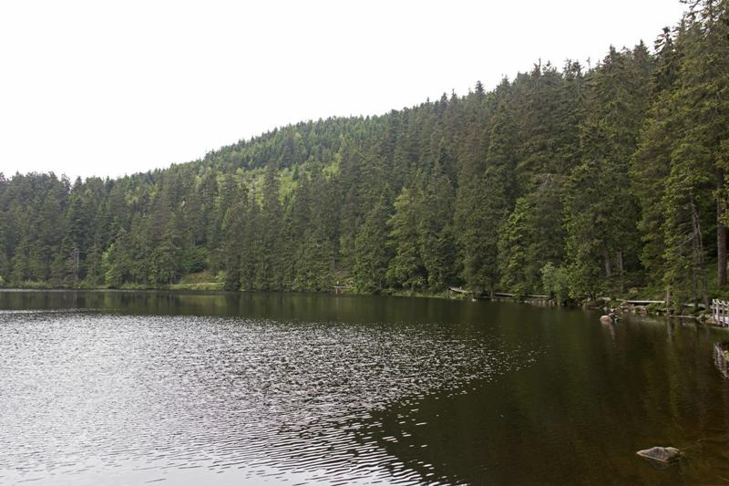 Cjp_2016_06_08_110744.jpg