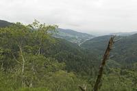 Cjp_2016_06_08_065810.jpg