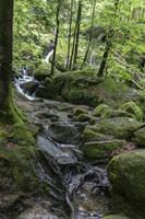 Cjp_2016_06_08_071502.jpg