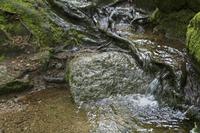 Cjp_2016_06_08_071842.jpg