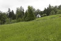 Cjp_2016_06_08_081554.jpg