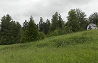 Cjp_2016_06_08_081620.jpg