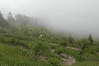 Cjp_2016_06_08_104530.jpg