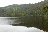 Cjp_2016_06_08_110610.jpg