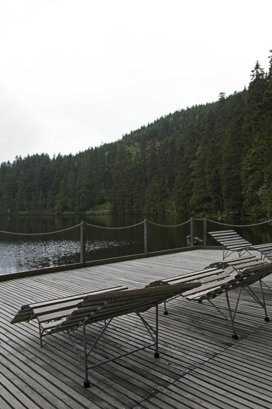 Cjp_2016_06_08_110910.jpg
