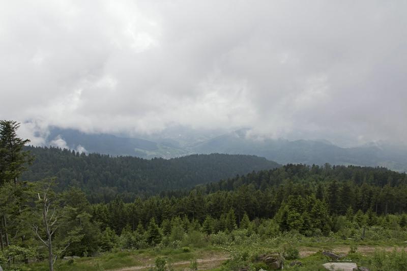 Cjp_2016_06_08_112930.jpg