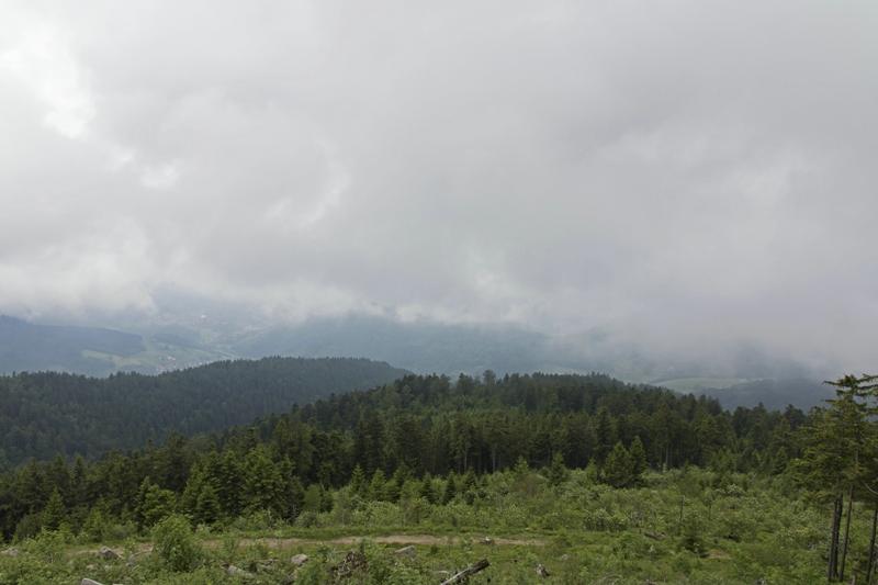 Cjp_2016_06_08_113024.jpg