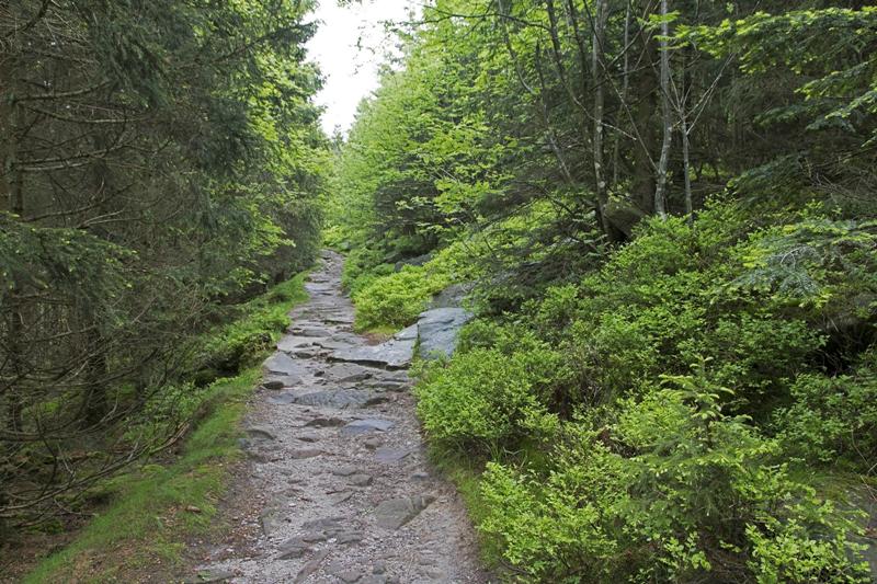 Cjp_2016_06_08_113300.jpg