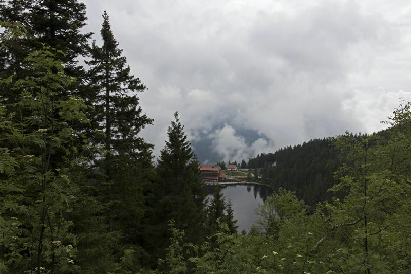 Cjp_2016_06_08_114624.jpg