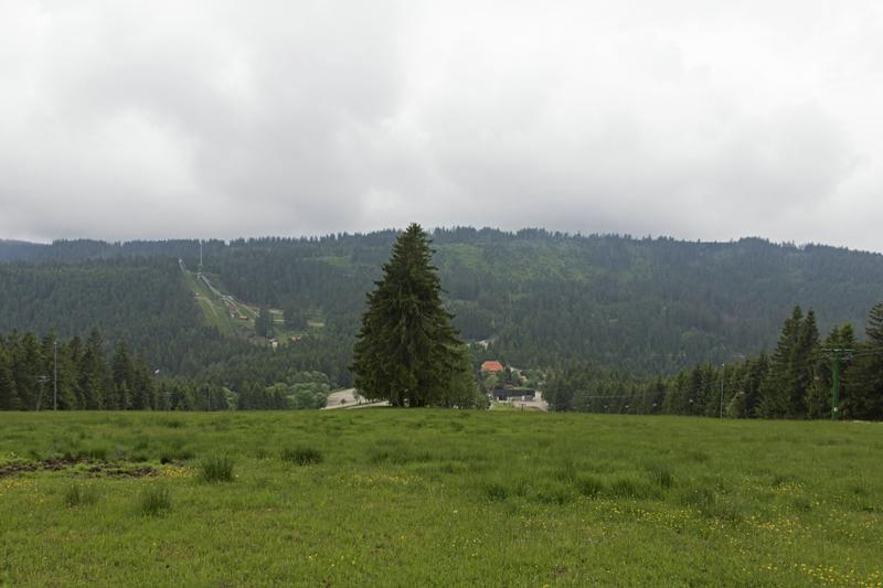 Cjp_2016_06_08_130254.jpg