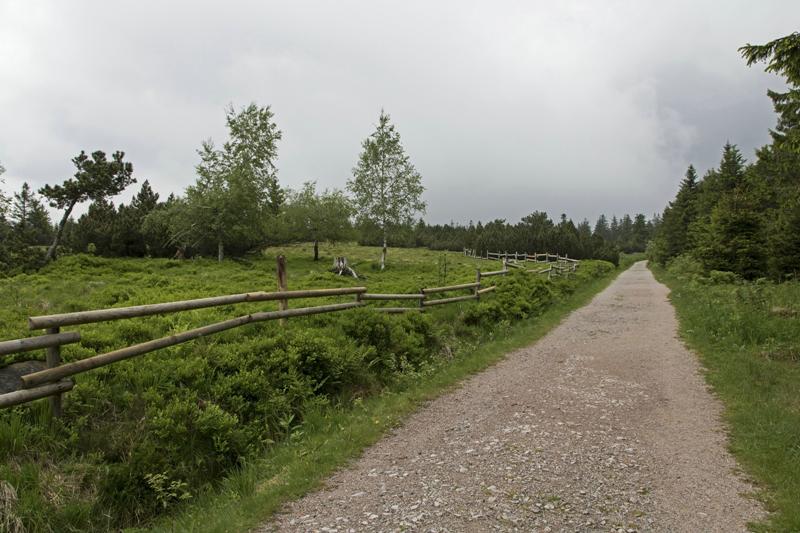 Cjp_2016_06_08_130456.jpg