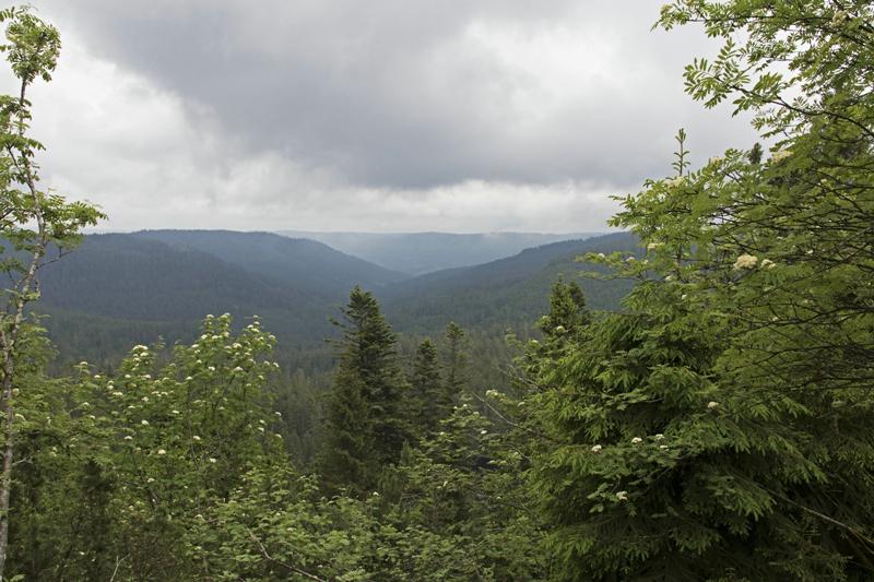 Cjp_2016_06_08_132038.jpg