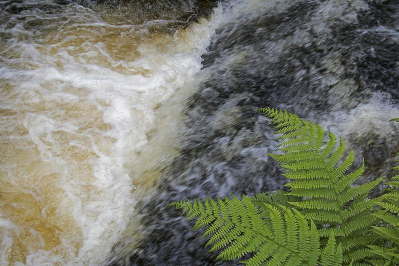 Cjp_2016_06_08_151142.jpg