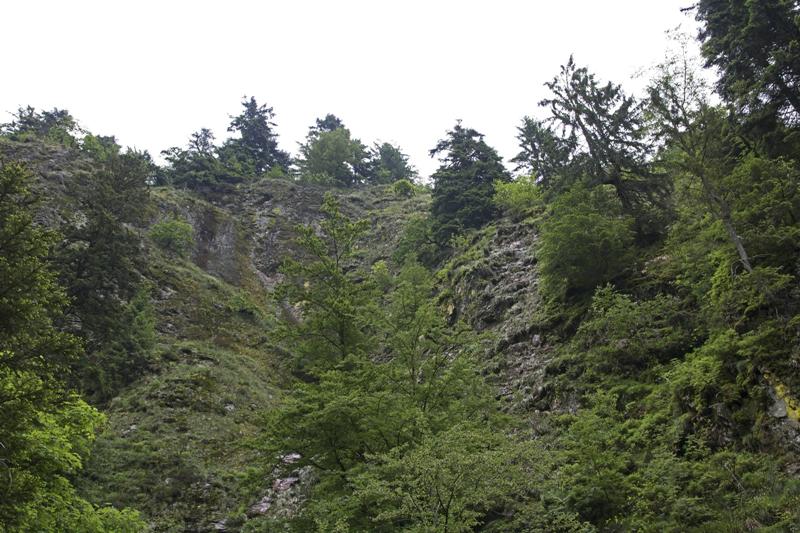 Cjp_2016_06_08_151402.jpg