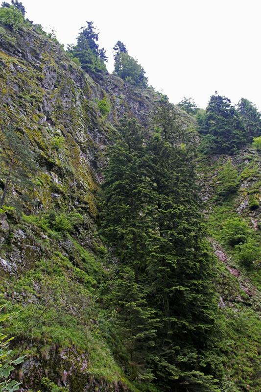 Cjp_2016_06_08_151838.jpg