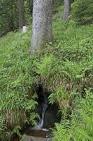 Cjp_2016_06_08_111116.jpg