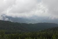 Cjp_2016_06_08_112948.jpg
