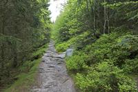 Cjp_2016_06_08_113300.jpg