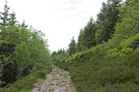 Cjp_2016_06_08_114718.jpg
