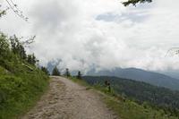 Cjp_2016_06_08_115528.jpg