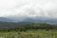 Cjp_2016_06_08_115546.jpg