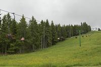 Cjp_2016_06_08_124954.jpg