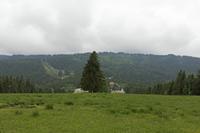 Cjp_2016_06_08_130254.jpg
