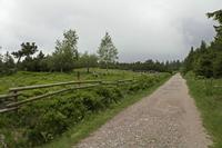 Cjp_2016_06_08_130456.jpg