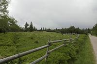 Cjp_2016_06_08_130520.jpg